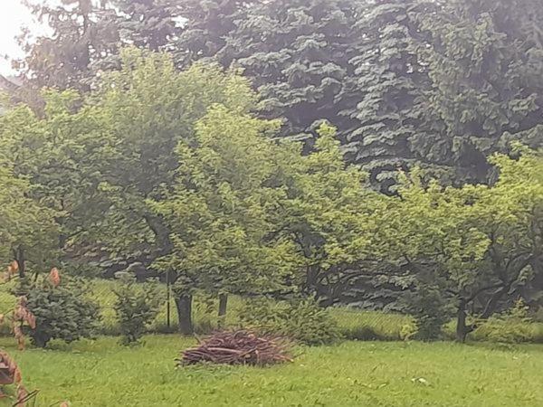 Kwatery Prywatne-Romanówka Zakopane Exterior foto