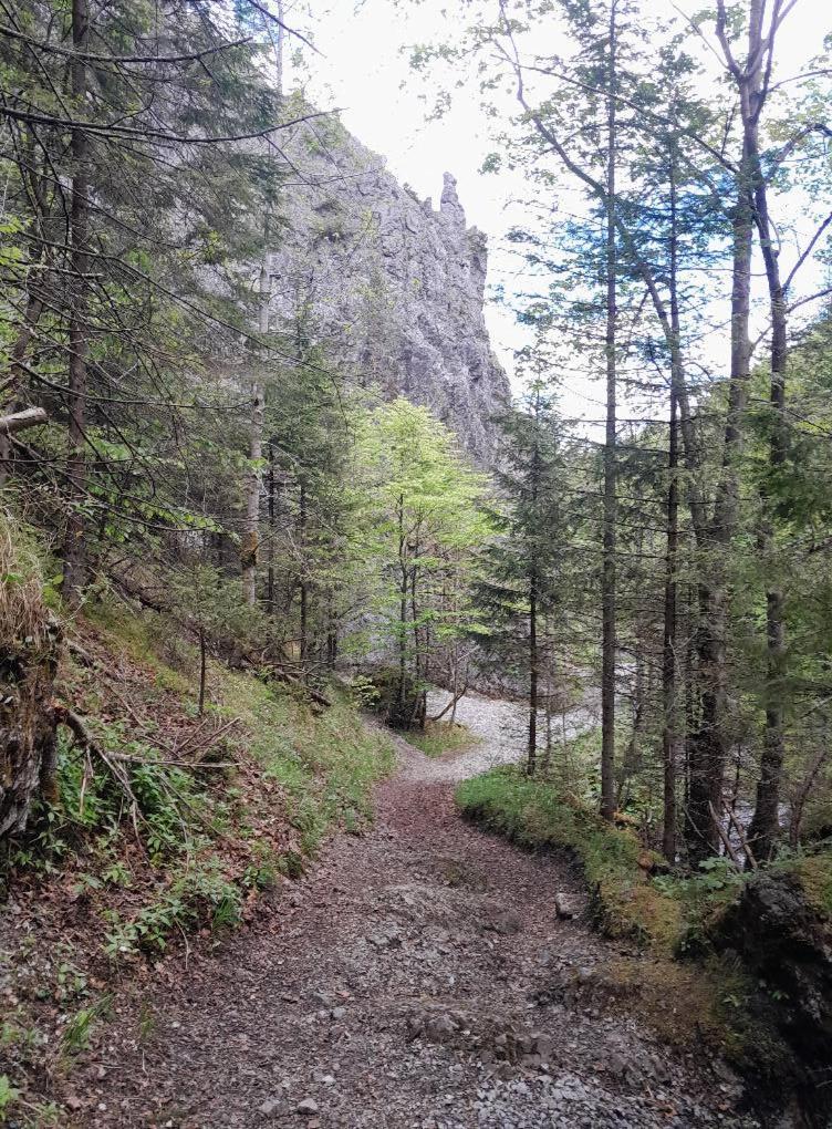 Kwatery Prywatne-Romanówka Zakopane Exterior foto