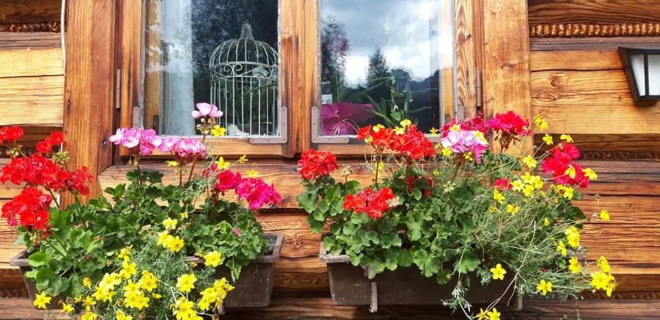 Kwatery Prywatne-Romanówka Zakopane Exterior foto
